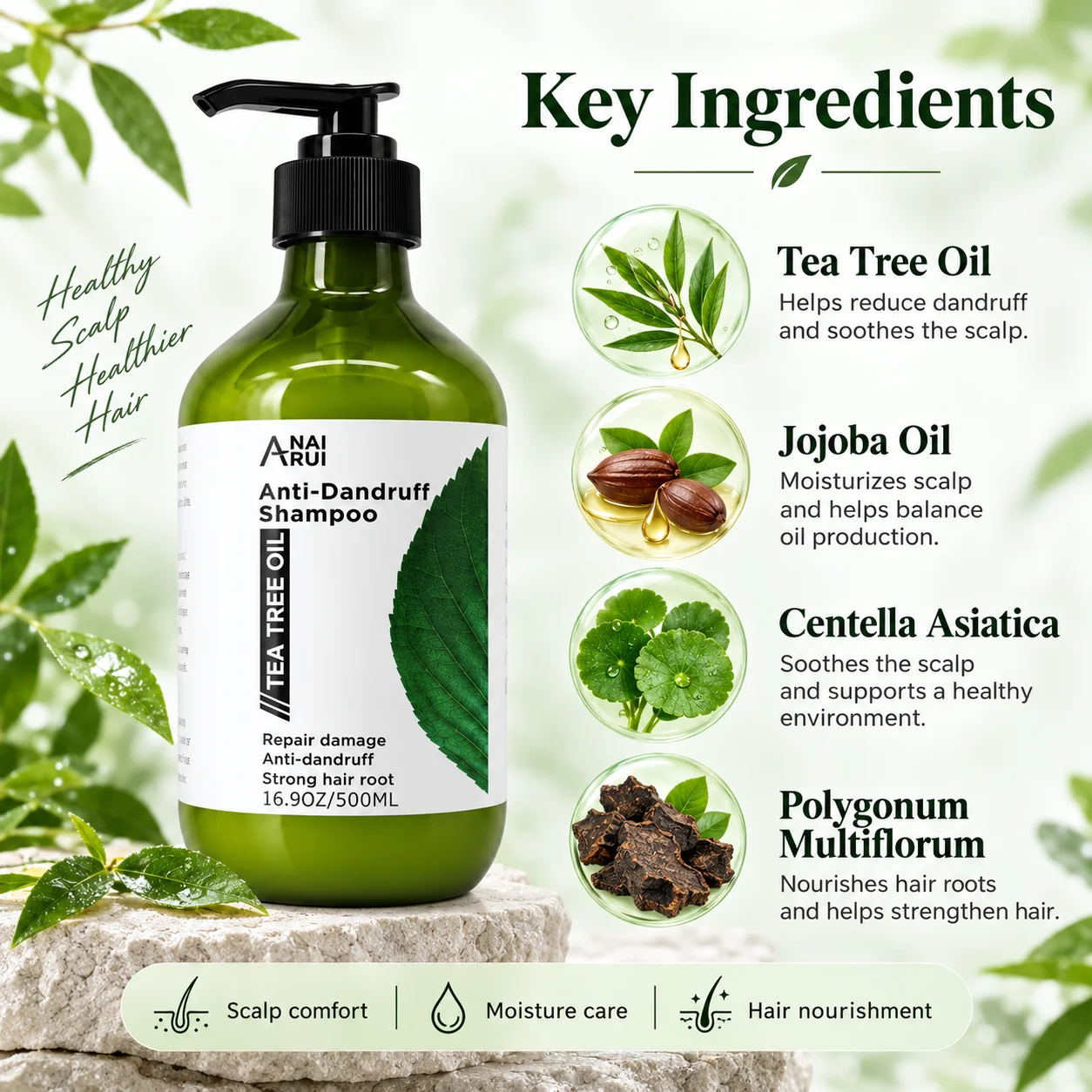 A bottle of anti-dandruff shampoo with tea tree oil, displayed alongside its key ingredients: jojoba oil, centella asiatica, and polygonum multiflorum.